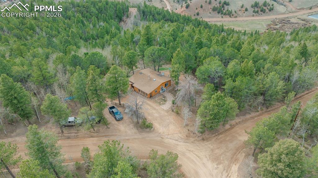 Image 34 of 41: Wood-sided residence surrounded by dense evergreen and deciduous trees
