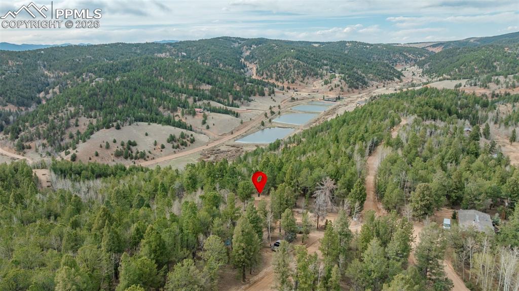 Image 37 of 41: Expansive treed landscape featuring multiple ponds and distant rolling hill