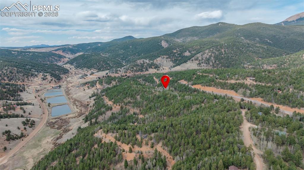 Image 38 of 41: Expansive mountain landscape featuring dense evergreen forests and distant