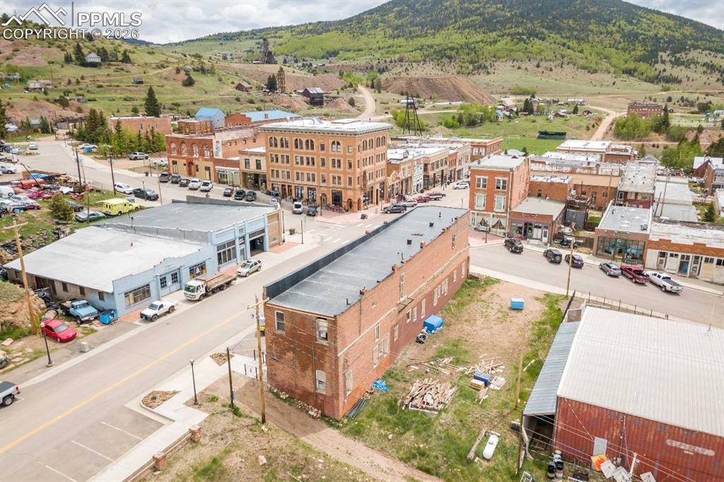 Image 35 of 36: Bird