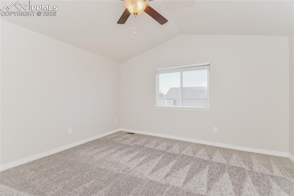 Image 8 of 16: Other