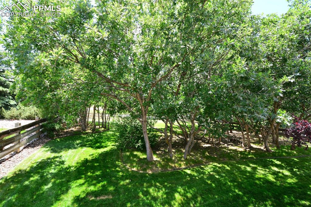 Image 41 of 43: Yard