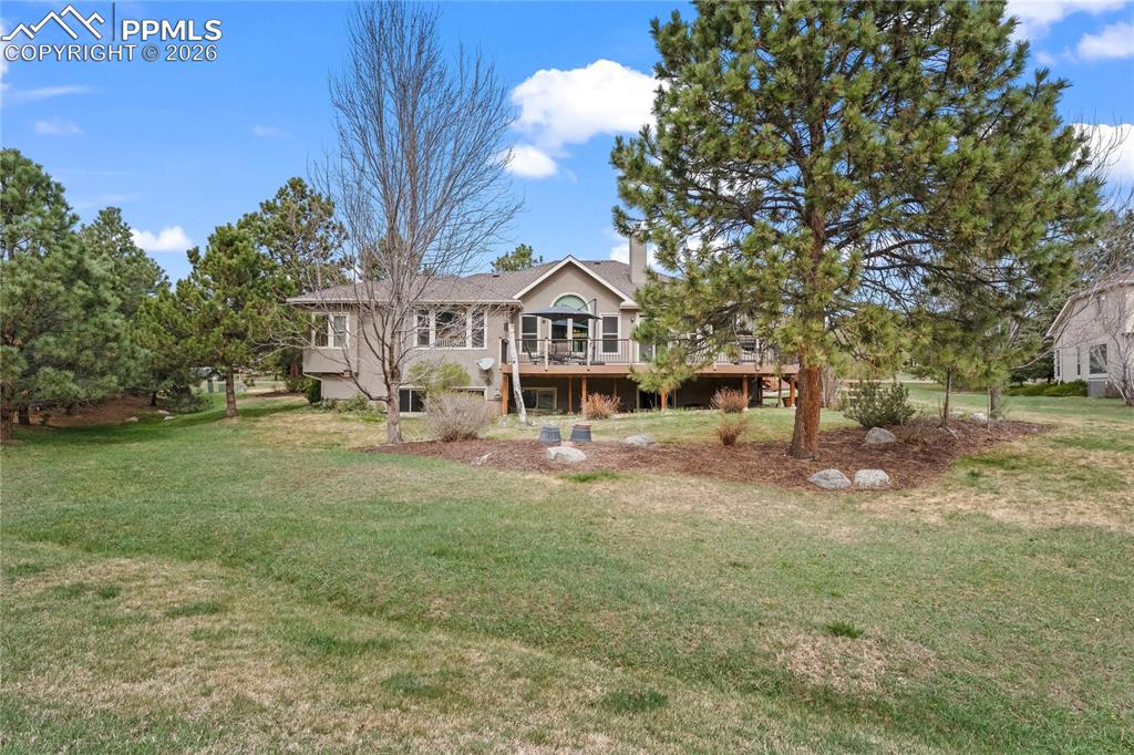 Image 49 of 50: Back of Structure