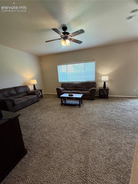 Image 11 of 34: Family Room