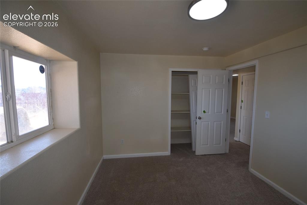Image 25 of 44: Carpeted room featuring a double-paned window, neutral wall paint, and a bu
