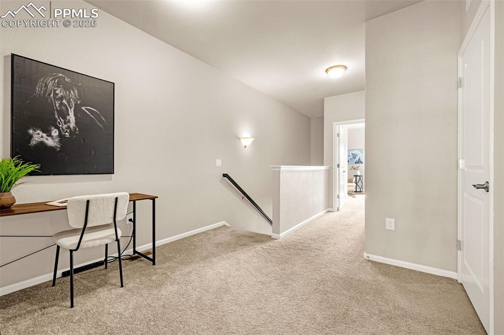 Image 15 of 37: Other