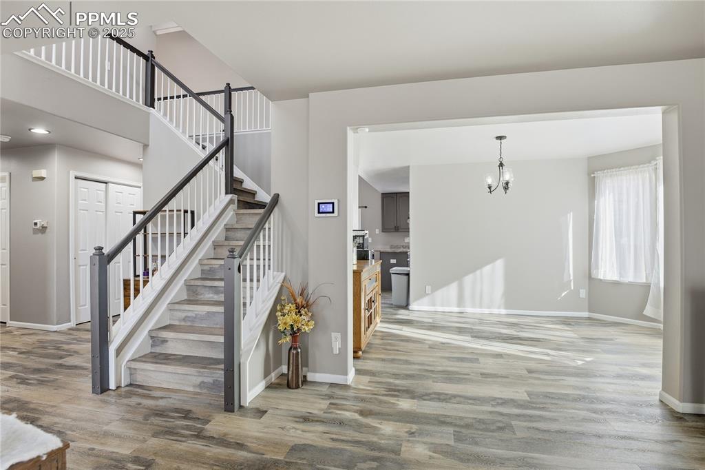 Image 7 of 42: Other