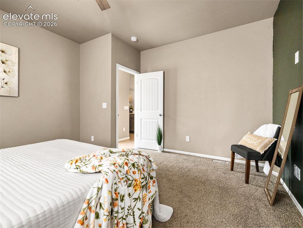 Image 12 of 24: Neutral-toned walls complement plush carpeting