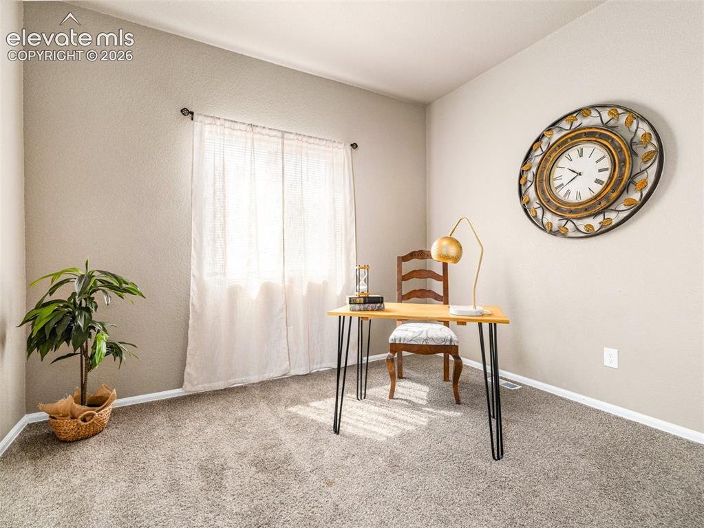Image 15 of 24: Light-toned wall finishes, carpeted flooring, and a window with a curtain r