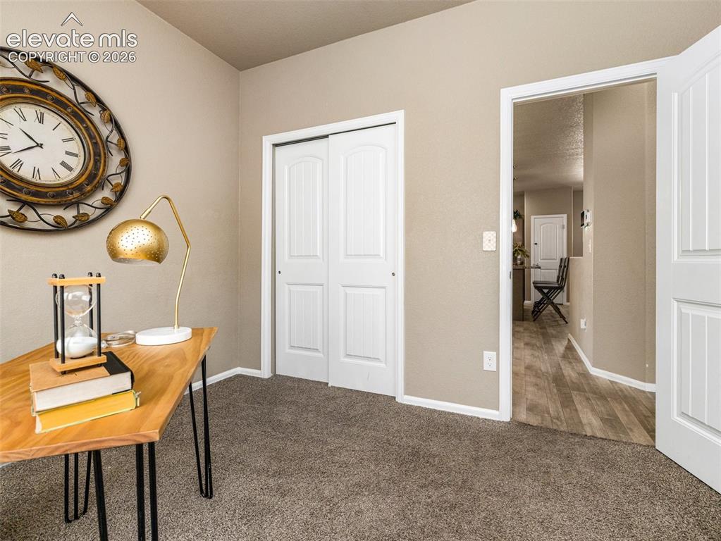 Image 16 of 24: Neutral wall paint, carpet flooring, bi-fold closet doors, white trim, and 