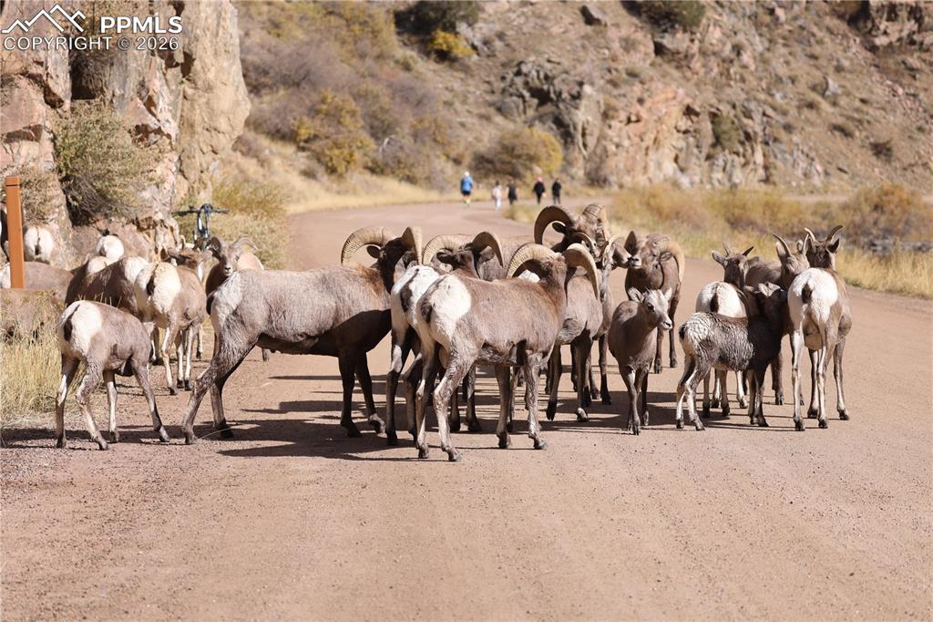Image 32 of 33: Stable