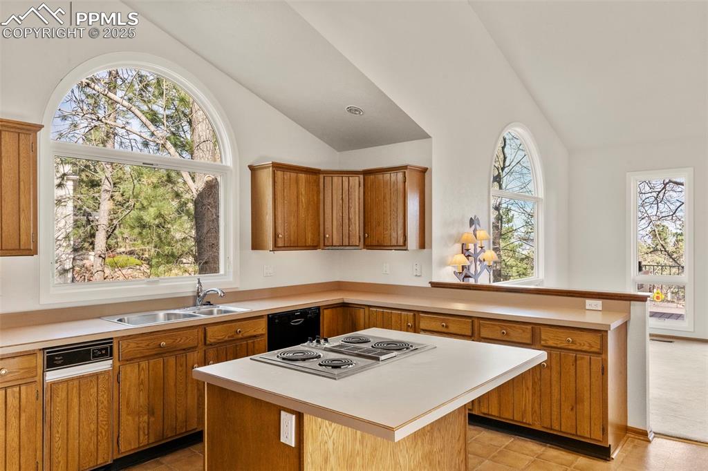 Image 11 of 48: No Description Available