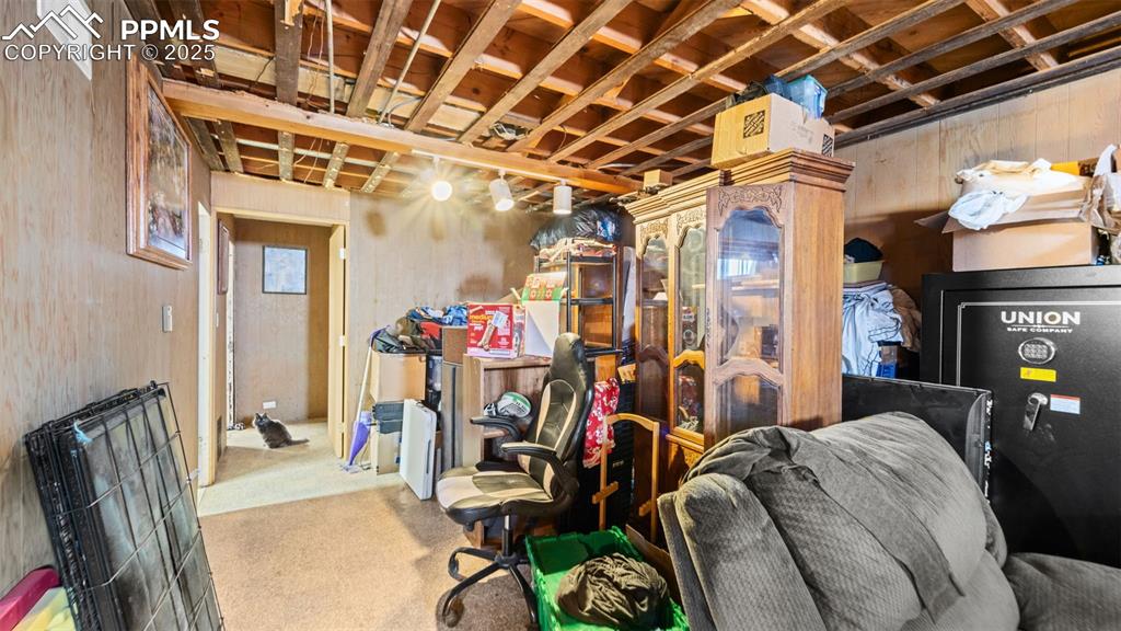 Image 16 of 35: Basement