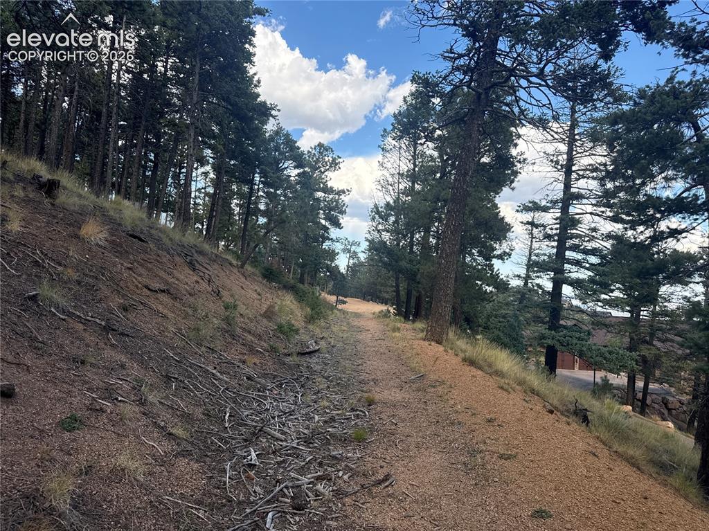 Image 14 of 21: Future driveway