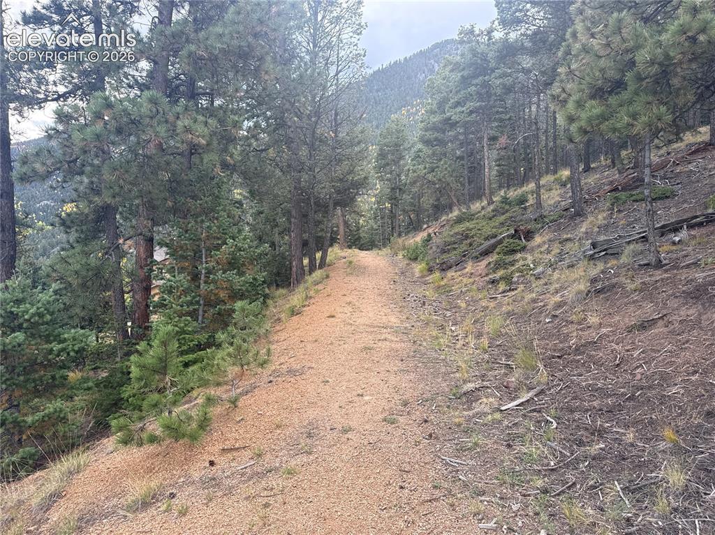 Image 6 of 21: Future driveway