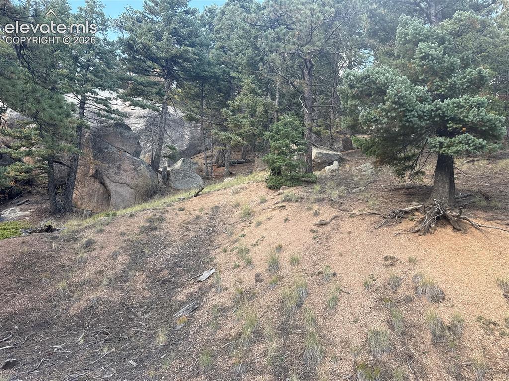 Image 9 of 21: Build site looking at the rock outcroppings