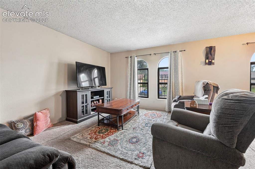 Image 3 of 20: Living area featuring arched windows, neutral wall tones, and textured ceil