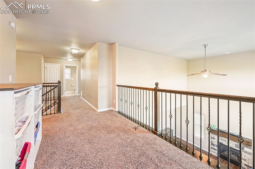 Image 16 of 50: Other