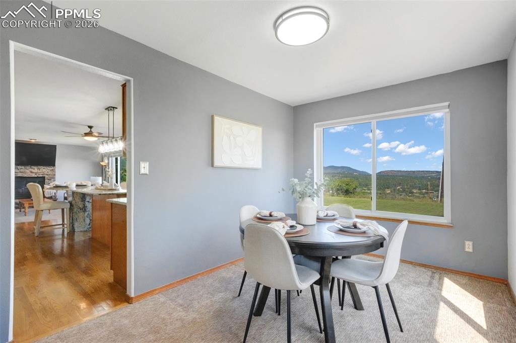 Image 27 of 50: View of the Backyard