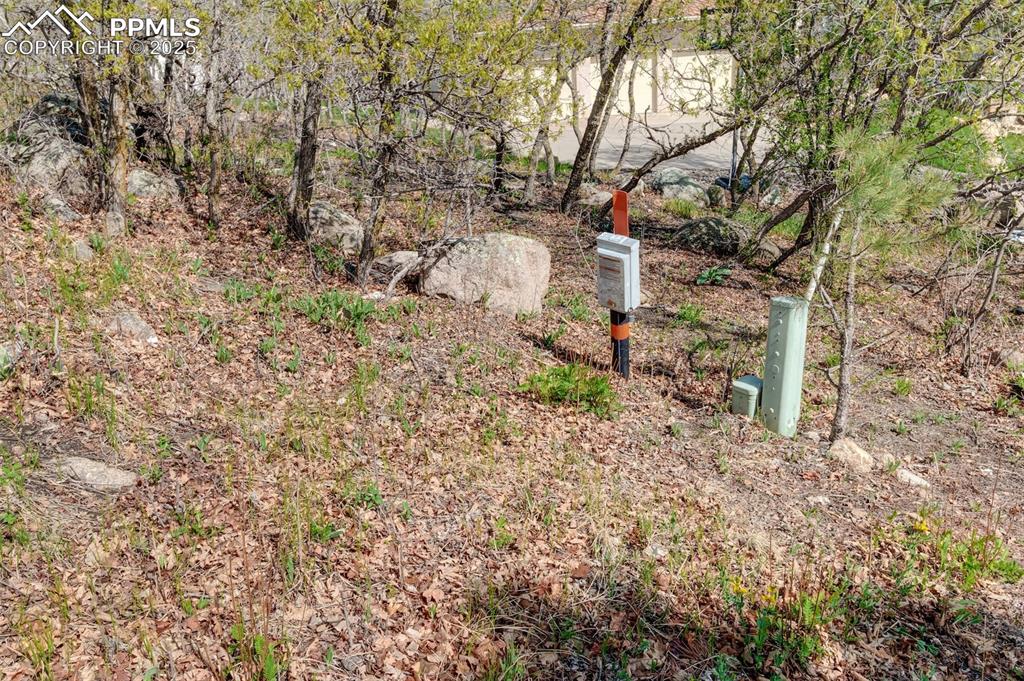 Image 10 of 10: Yard