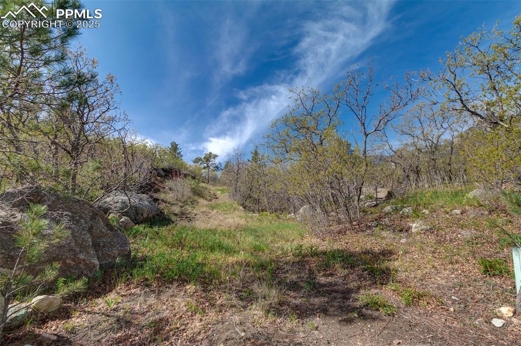 Image 2 of 10: Other