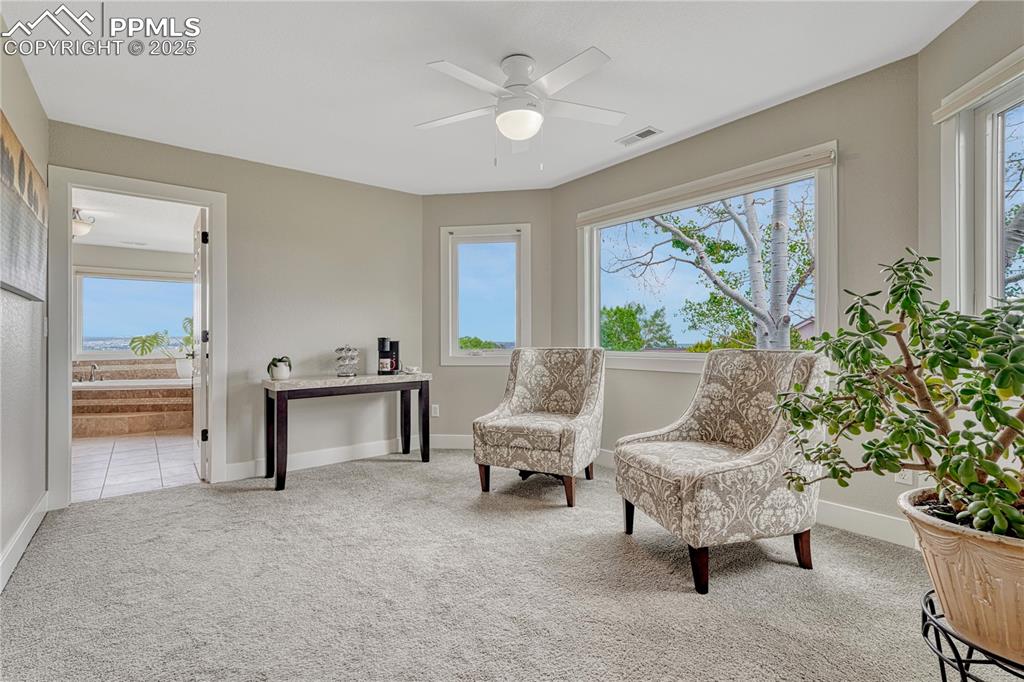 Image 2 of 47: Sitting area in primary bdrm with carpet flooring and ceiling fan