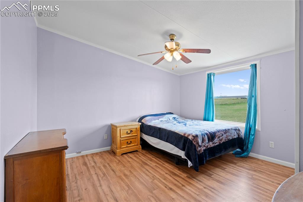 Image 20 of 29: Bedroom featuring crown molding, light wood-type flooring, and a ceiling fa