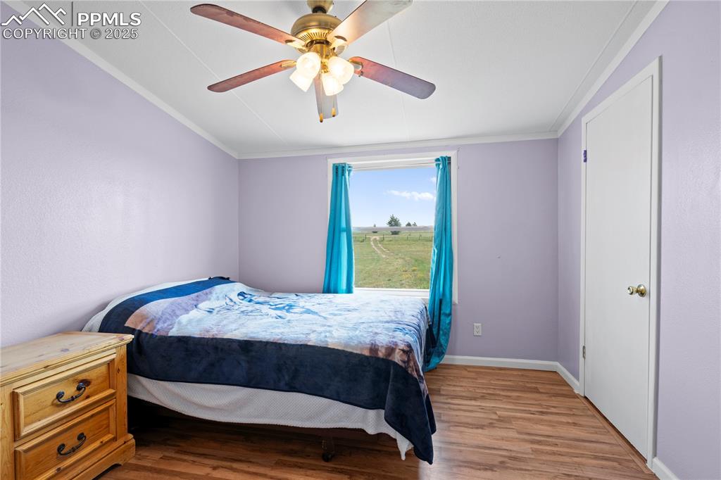 Image 21 of 29: Bedroom with wood finished floors, crown molding, and ceiling fan
