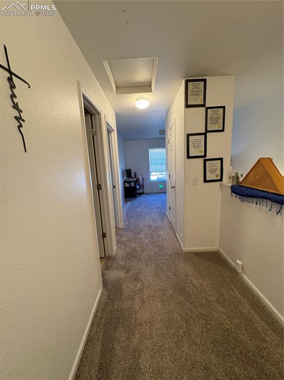 Image 20 of 21: Other