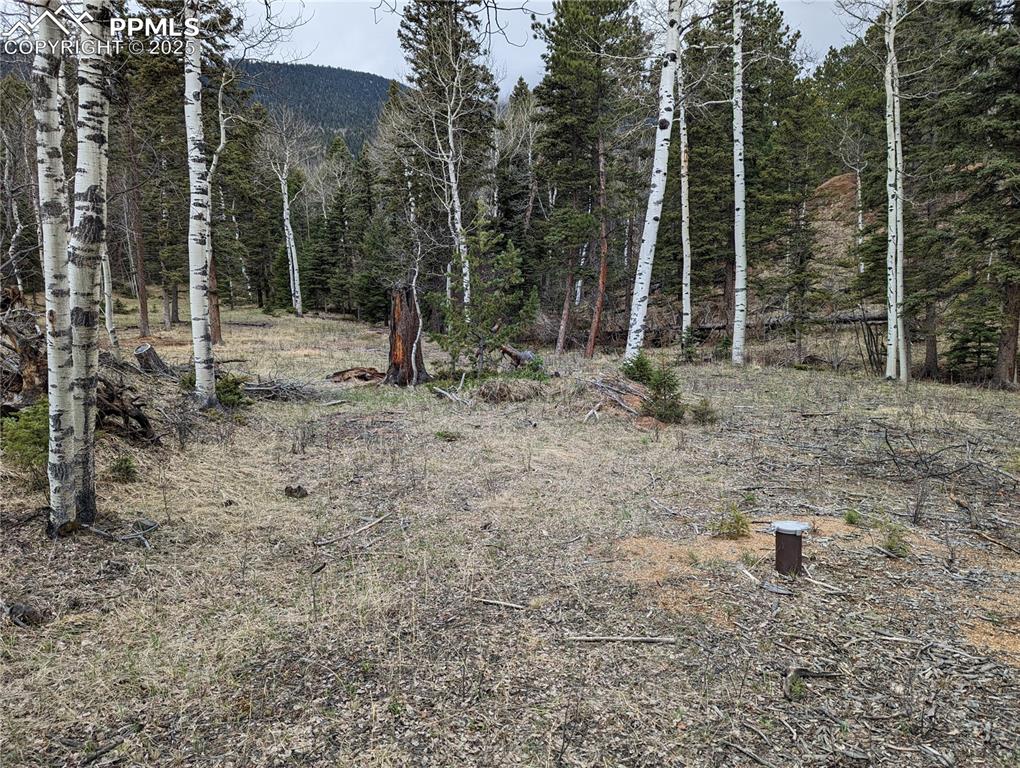Image 5 of 6: Other