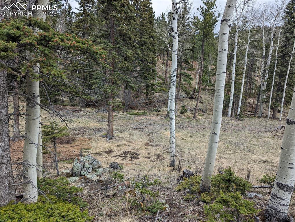Image 6 of 6: Other