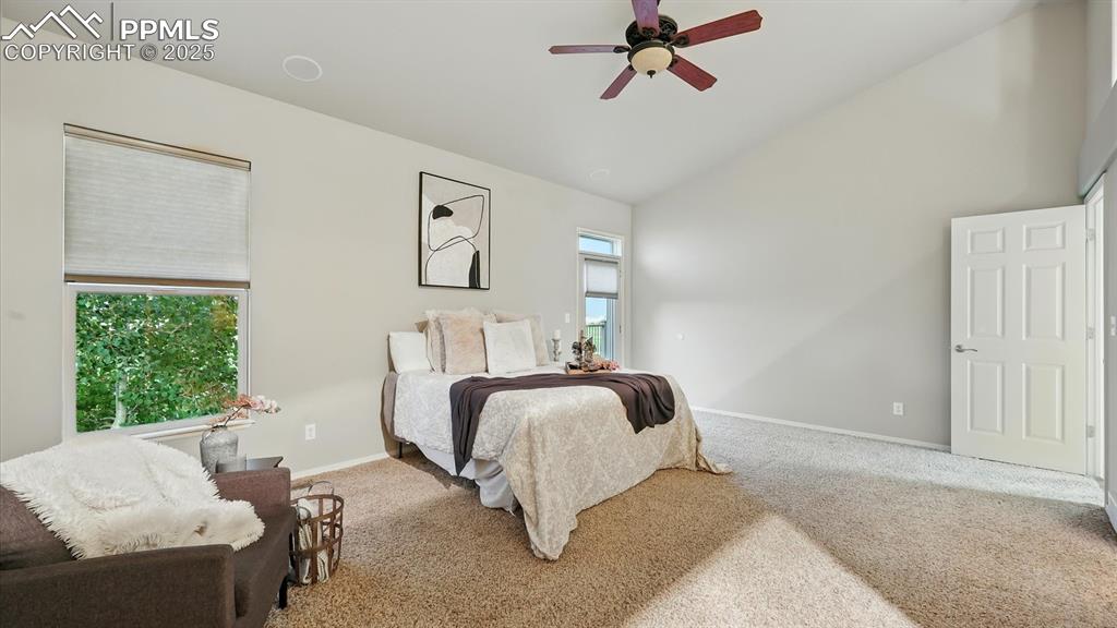 Image 30 of 50: Main Level Primary Bedroom with neutral carpet, a lighted ceiling fan, walk