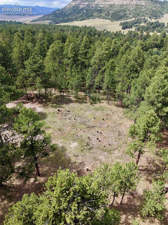 Image 12 of 19: Aerial View