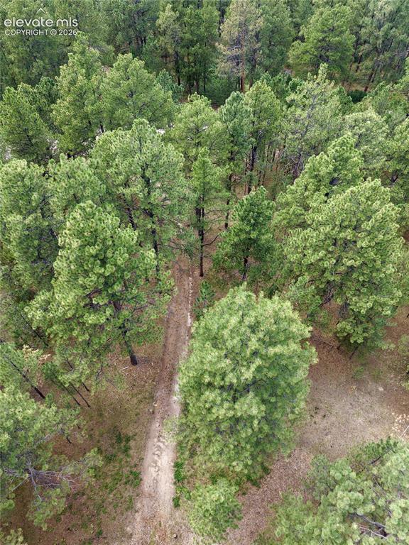 Image 4 of 19: Aerial View