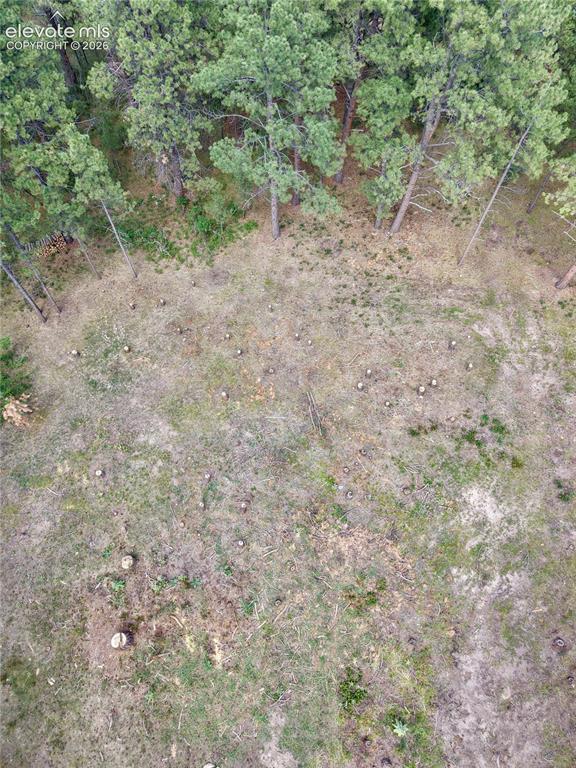 Image 8 of 19: Other