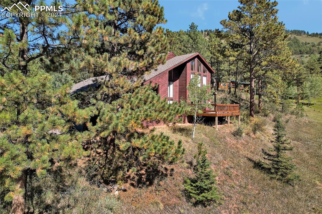 Image 31 of 39: Aerial View, Pine Trees, Nature,