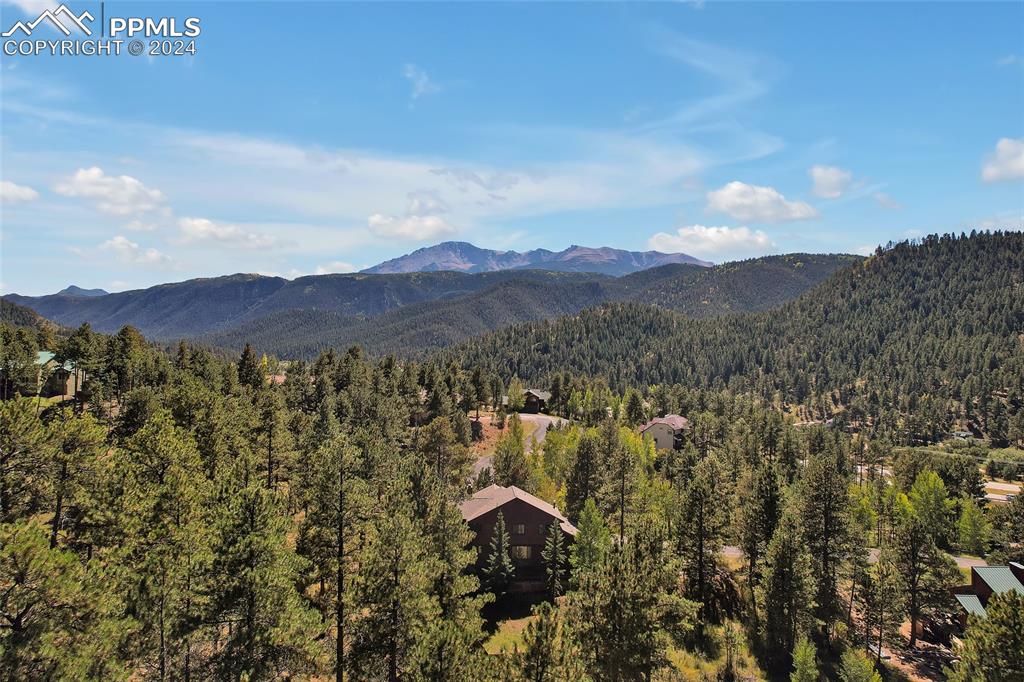 Image 37 of 39: Quiet Neighborhood, Pine Trees, Beautiful Mountain View,
