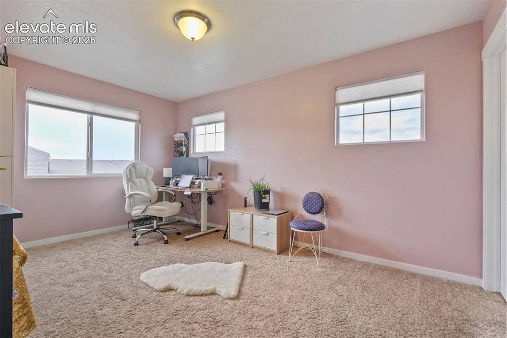 Image 21 of 33: Upper Level: Carpeted bedroom featuring multiple windows