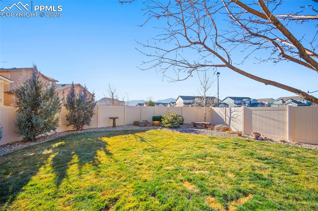 Image 40 of 45: Yard