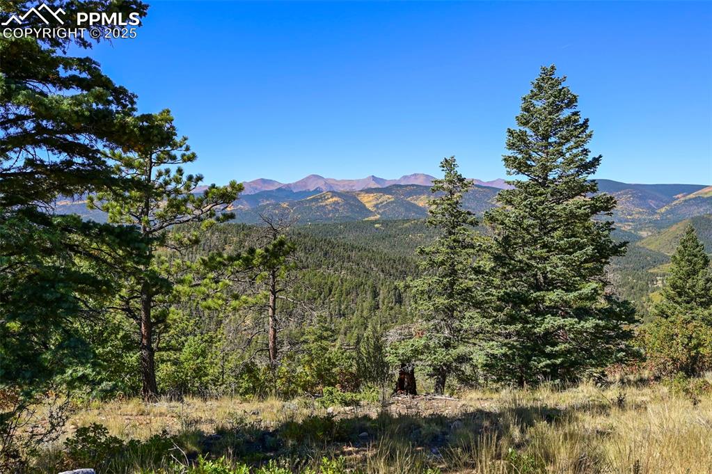 Image 40 of 50: View of mountain feature with a wooded view