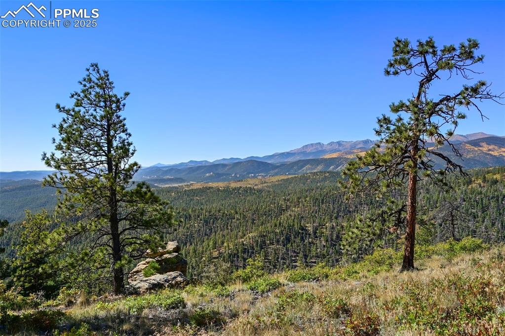Image 41 of 50: View of mountain feature featuring a forest view
