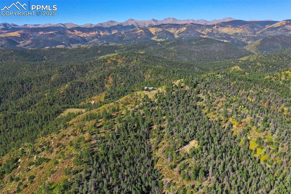 Image 45 of 50: Property view of mountains featuring a forest view