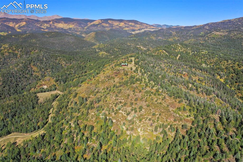 Image 46 of 50: View of mountain feature featuring a forest view