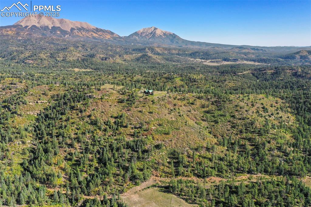 Image 47 of 50: View of mountain feature with a forest view