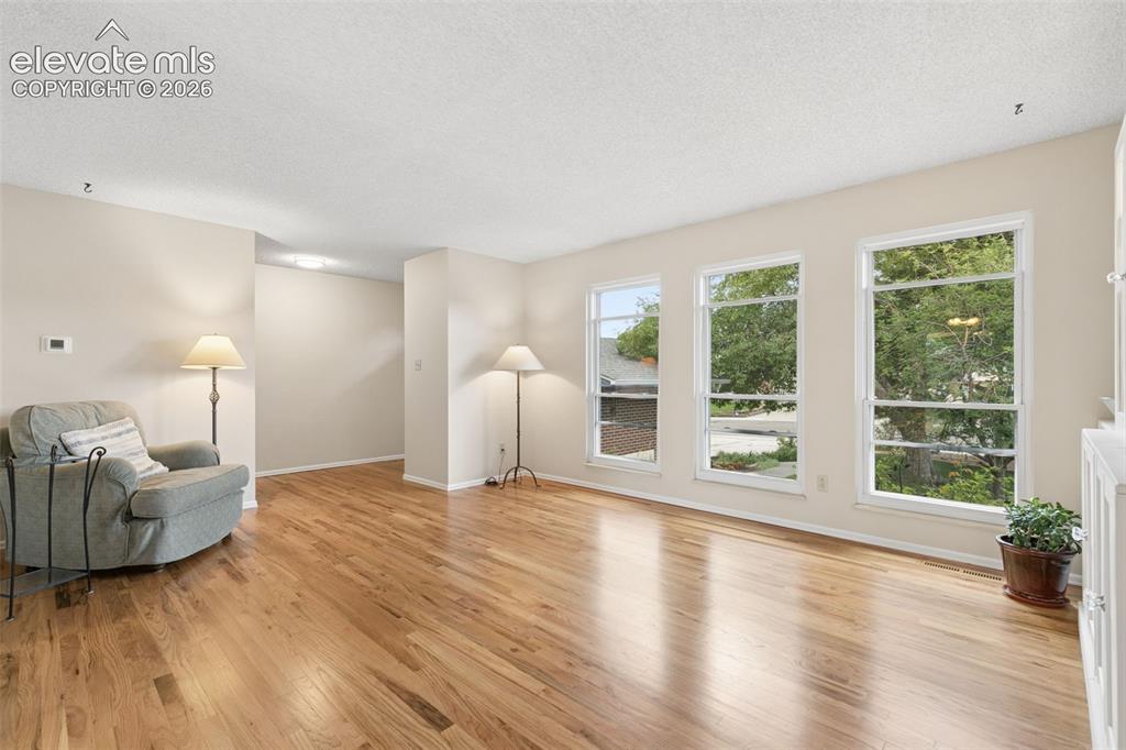 Image 12 of 48: Lots of light to view the mature tree lined street
