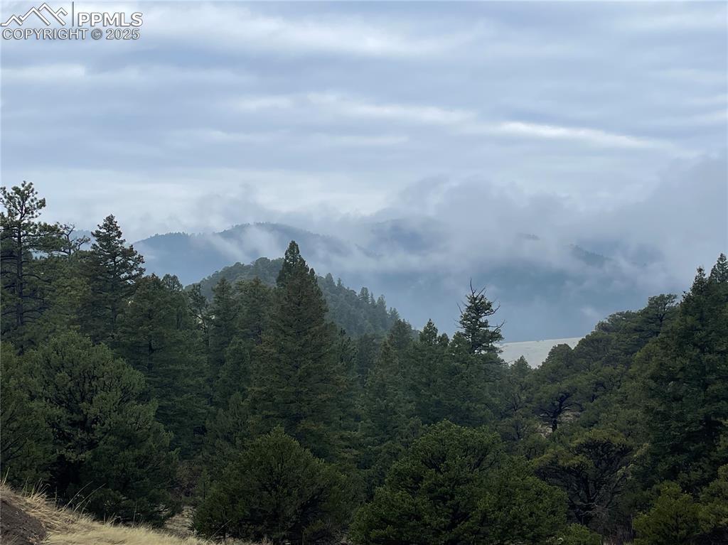 Caption: Mountain view featuring a forest