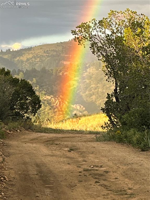 Image 11 of 14: Rainbow