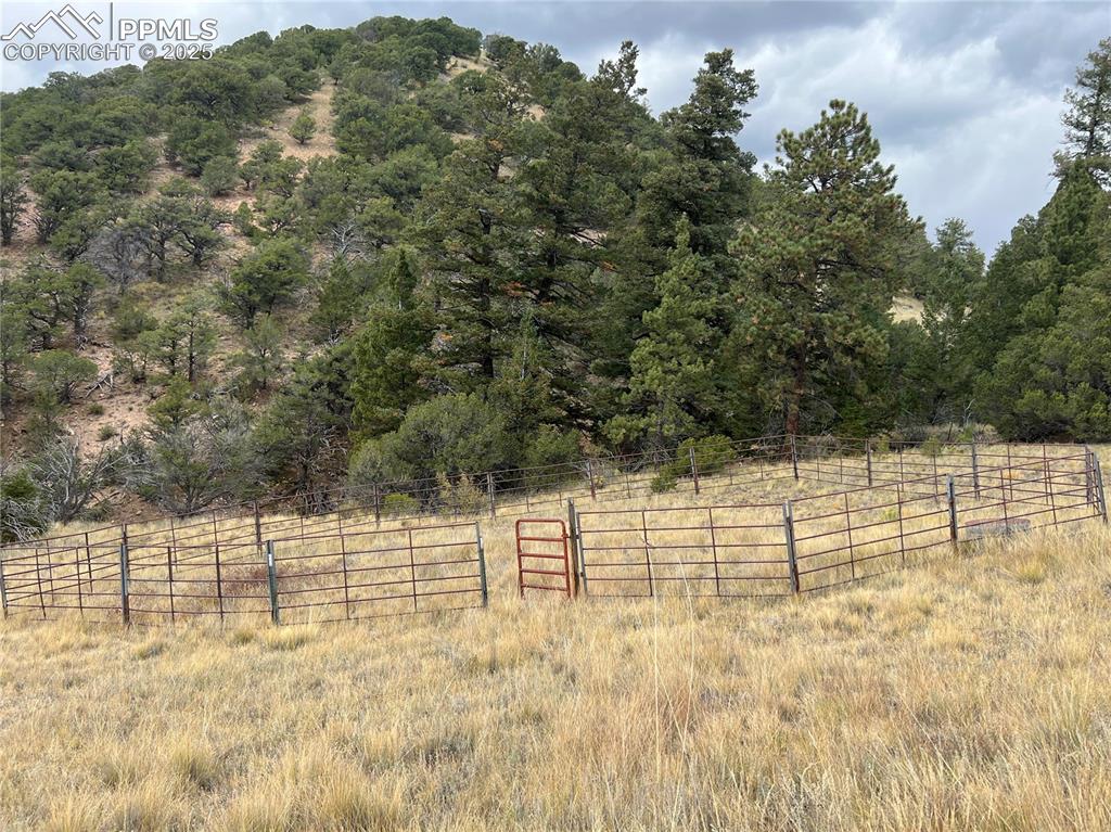 Image 12 of 14: View of pen with a wooded view 