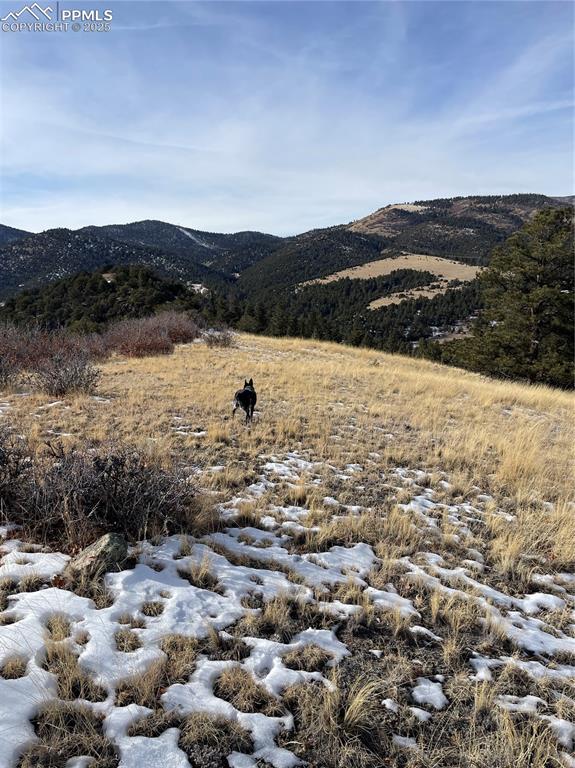 Image 14 of 14: View of mountain background