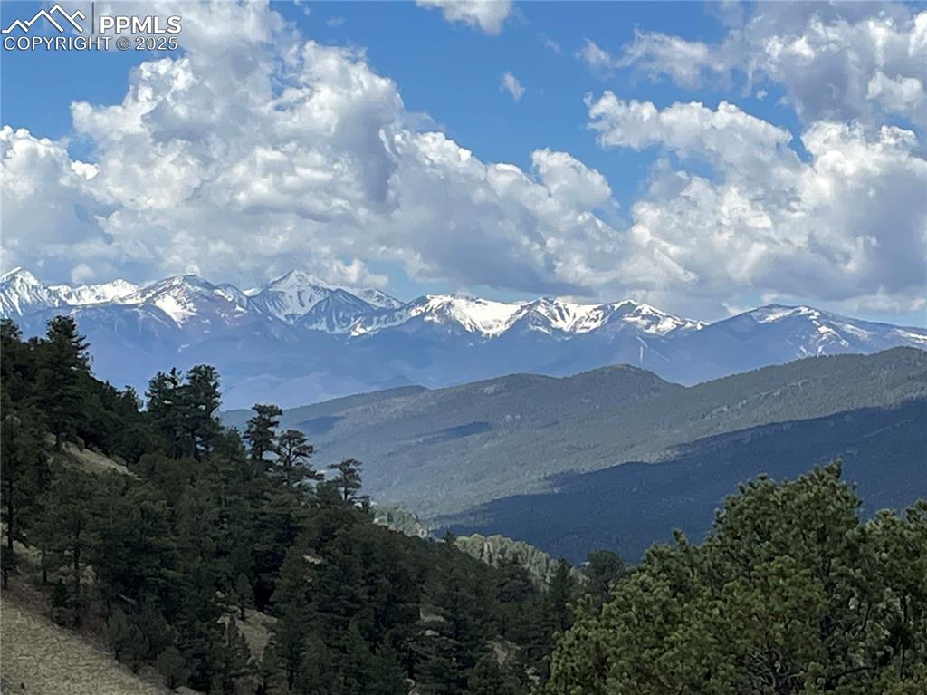 Image 2 of 14: View of mountain background with a heavily wooded area